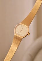 Vintage President 60/70s Gold Ladies Swiss Made Mechanical Watch in Box Working