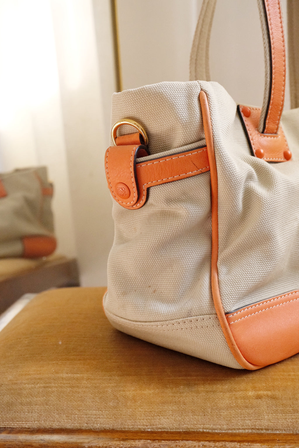 Rare 2007 Loewe Canvas Shoulder Bag