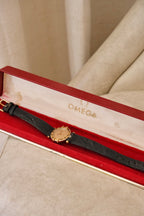 Vintage Omega Constellation Ladies Watch - Gold & Steel - Box Included